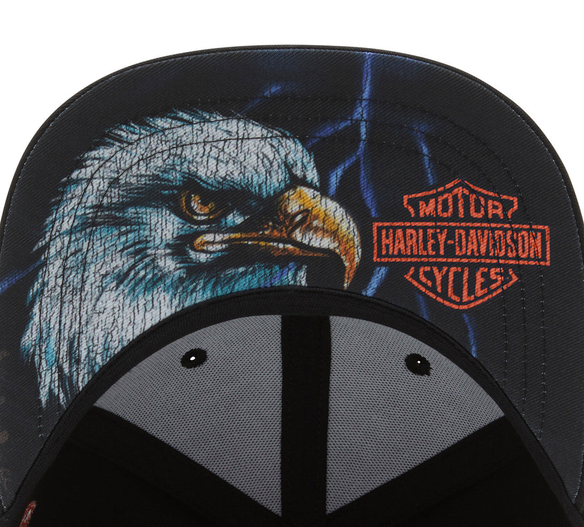 Casquette ajustée Lightning Eagle Panhead - Harley Black